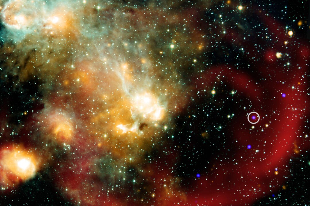Mysterious 44-Minute Cycle Detected: A Bizarre New Object Puzzles Astronomers in the Milky Way