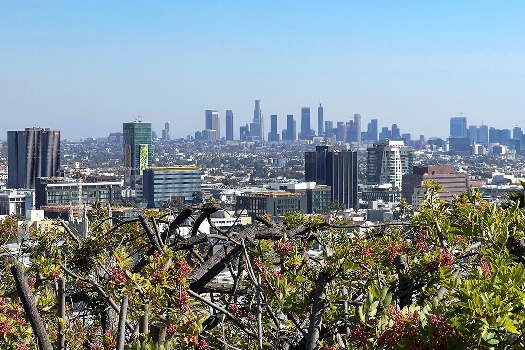Massive ICE Raid Nets 36 in LA Underground Nightclub