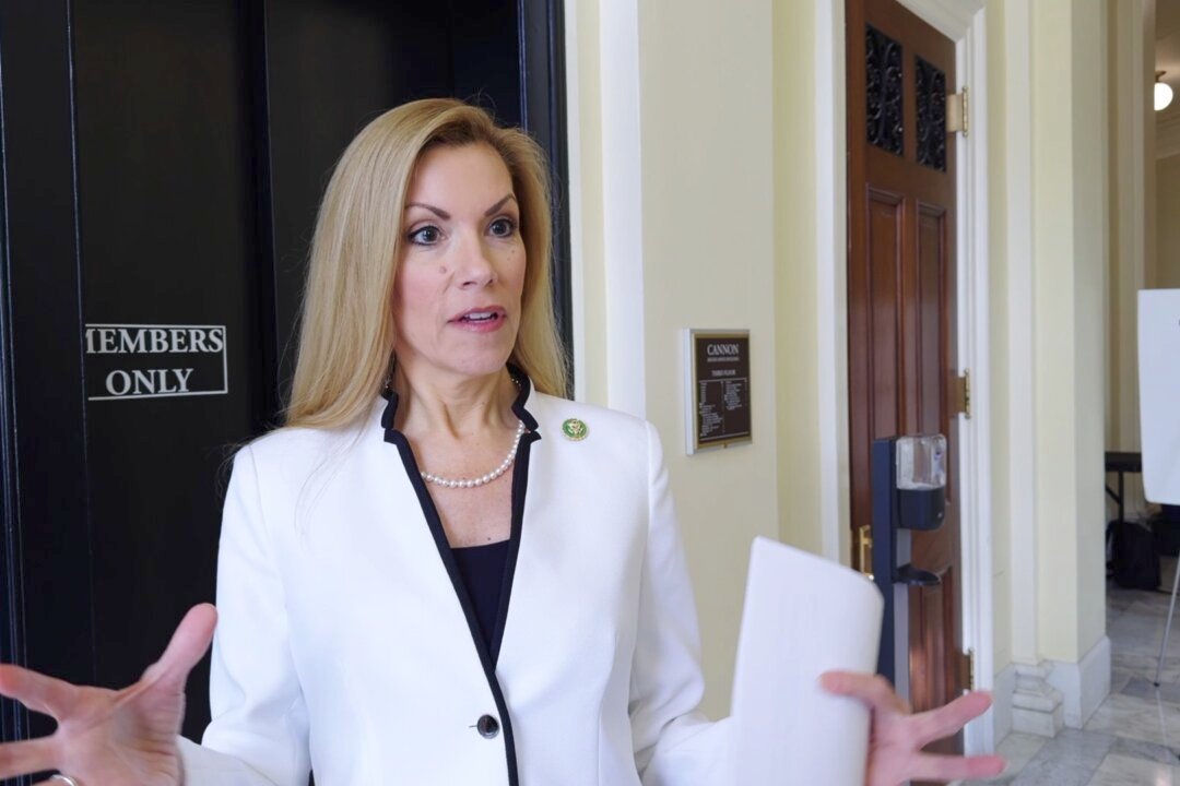 House Votes to Restrict Federal Small Business Loans for Non-Citizens