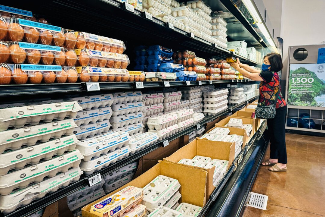 Salmonella Outbreak: 79 Sickened in Massive Egg Recall – What You Need to Know