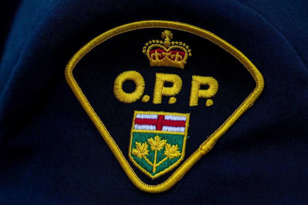 Almonte Community Mourns the Loss of 9-Year-Old Archer Lowe