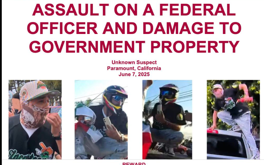 LA Protest Assault: FBI Identifies Masked Suspect, Issues Warrant